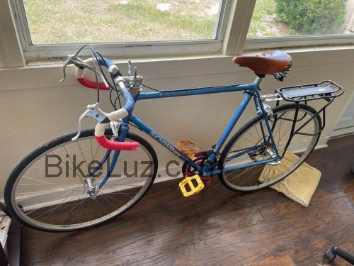 Schwinn Sprint ficha tecnica
